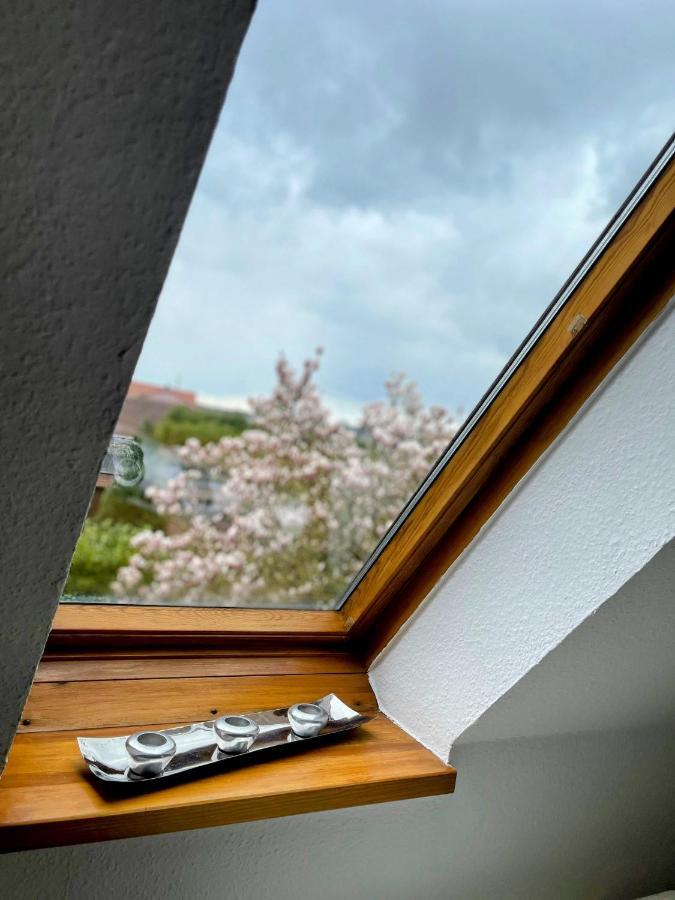*To Hus* Wohnung Am Rande Von Jever Exteriör bild